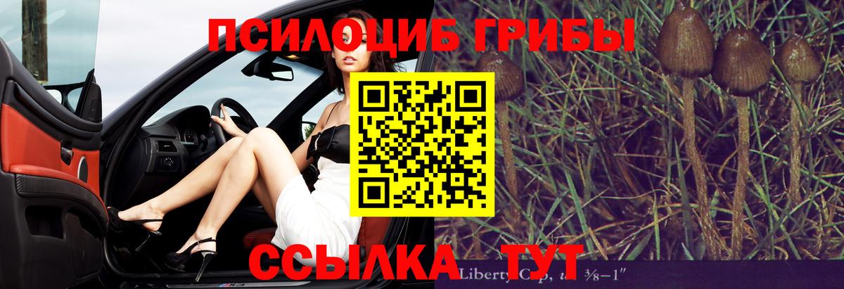 где купить наркоту  Псилоцибиновые грибы GOLDEN TEACHER  Вход с VPN  Углич  Галлюциногенные грибы MAGIC MUSHROOMS 