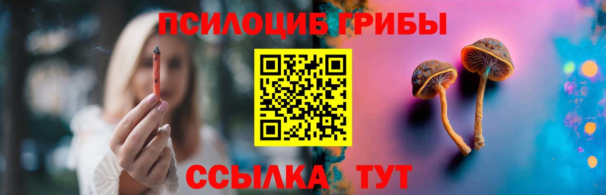 Псилоцибиновые грибы мицелий Углич